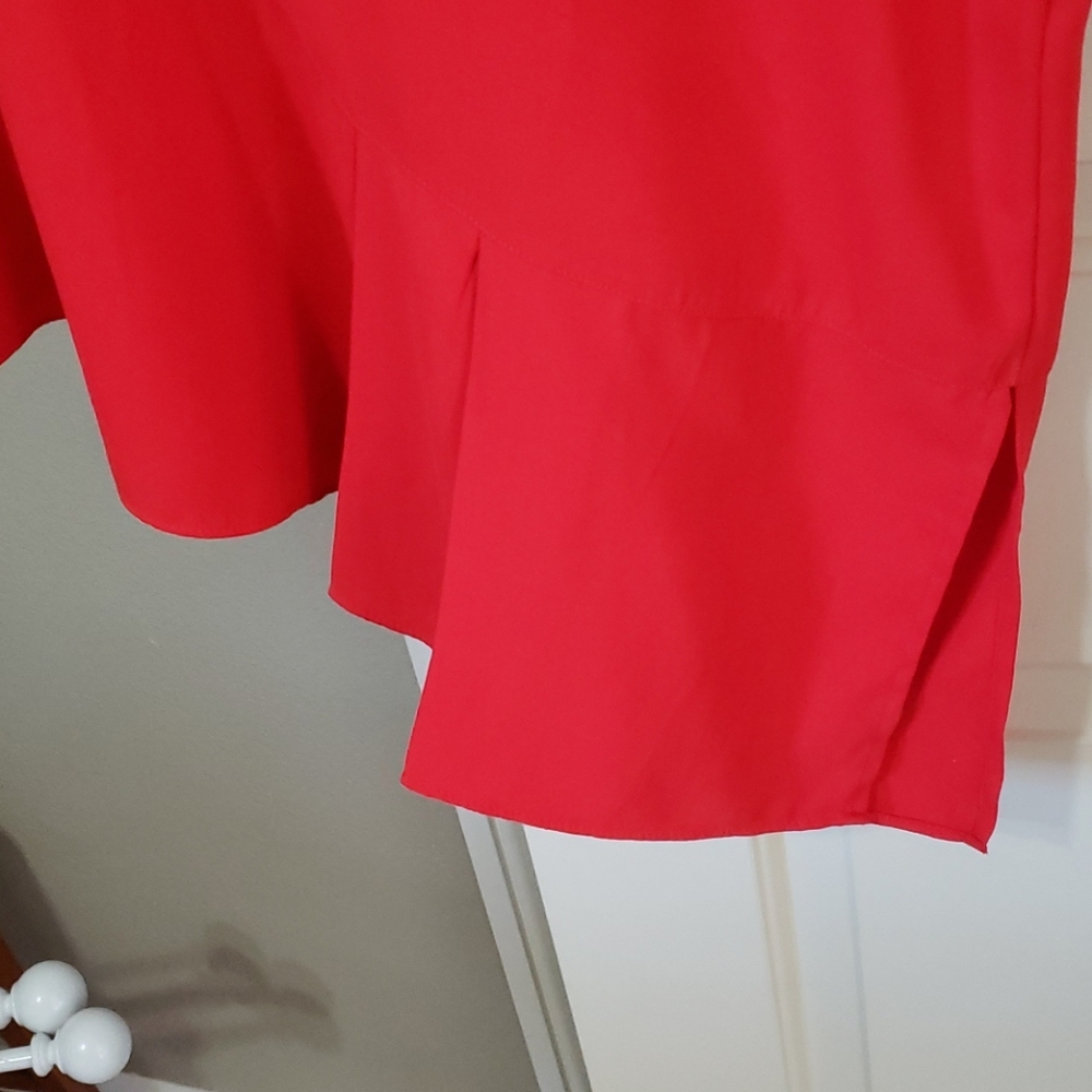 Red Shift Dress - Picture 2 of 4